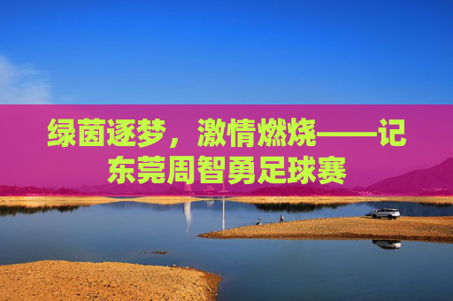 绿茵逐梦,激情燃烧——记东莞周智勇足球赛