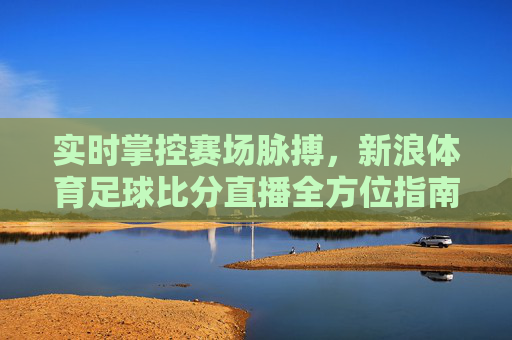 实时掌控赛场脉搏,新浪体育足球比分直播全方位指南