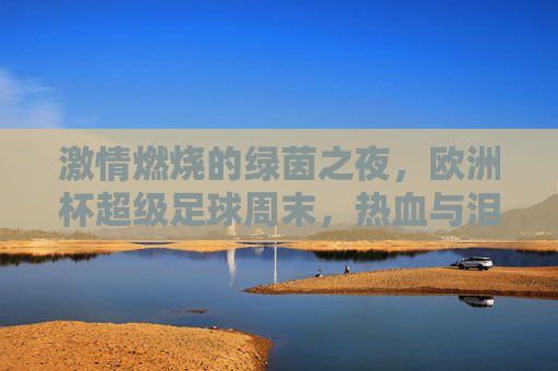 激情燃烧的绿茵之夜,欧洲杯超级足球周末,热血与泪水交织的狂欢