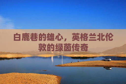 白鹿巷的雄心,英格兰北伦敦的绿茵传奇