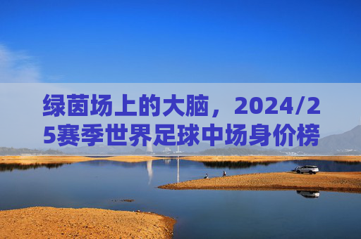绿茵场上的大脑,2024/25赛季世界足球中场身价榜单深度解析