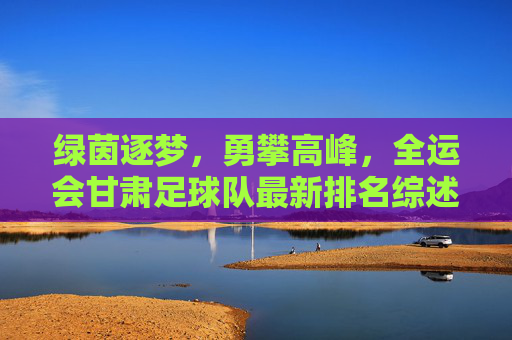 绿茵逐梦，勇攀高峰，全运会甘肃足球队最新排名综述