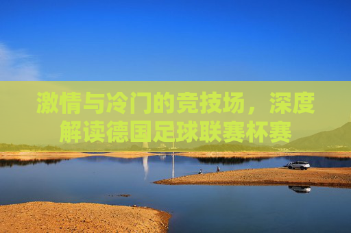 激情与冷门的竞技场，深度解读德国足球联赛杯赛