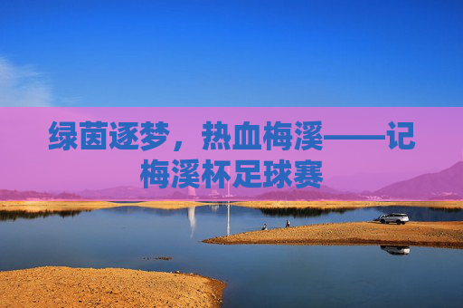 绿茵逐梦,热血梅溪——记梅溪杯足球赛