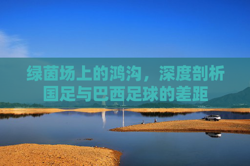 绿茵场上的鸿沟,深度剖析国足与巴西足球的差距