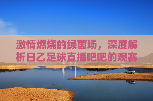激情燃烧的绿茵场,深度解析日乙足球直播吧吧的观赛体验