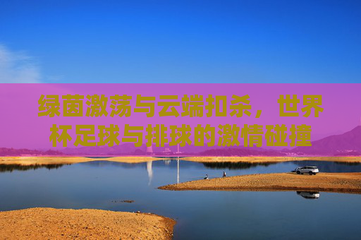 绿茵激荡与云端扣杀，世界杯足球与排球的激情碰撞