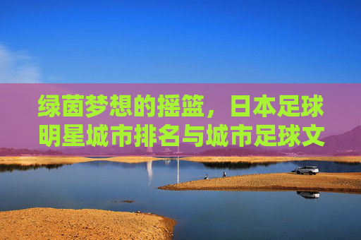 绿茵梦想的摇篮,日本足球明星城市排名与城市足球文化深度解析