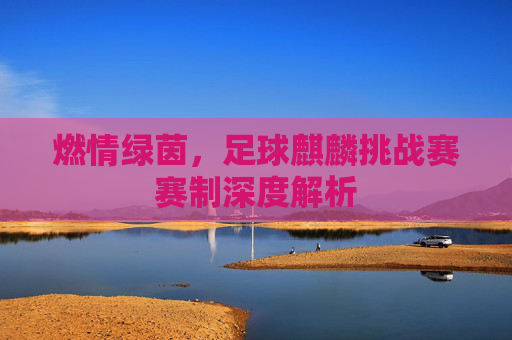 燃情绿茵,足球麒麟挑战赛赛制深度解析