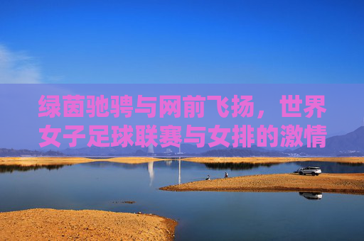 绿茵驰骋与网前飞扬，世界女子足球联赛与女排的激情交响