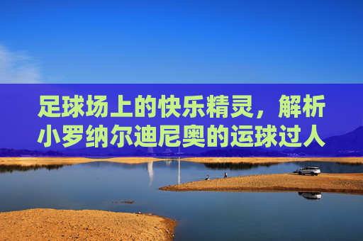 足球场上的快乐精灵,解析小罗纳尔迪尼奥的运球过人艺术