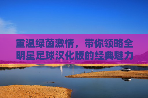 重温绿茵激情，带你领略全明星足球汉化版的经典魅力