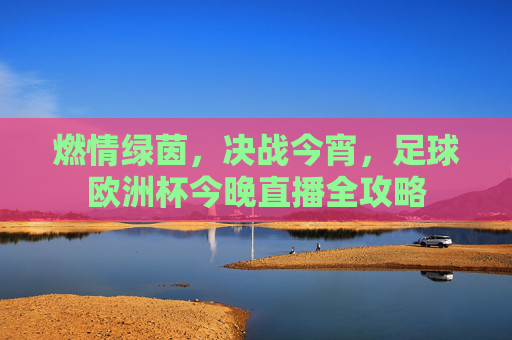 燃情绿茵,决战今宵,足球欧洲杯今晚直播全攻略