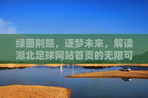 绿茵荆楚,逐梦未来,解读湖北足球网站首页的无限可能