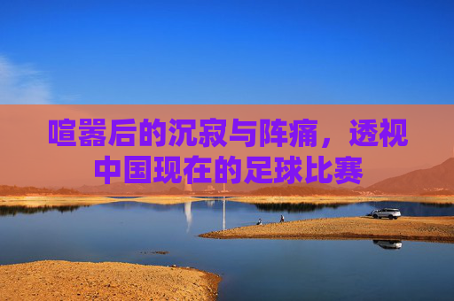 喧嚣后的沉寂与阵痛,透视中国现在的足球比赛