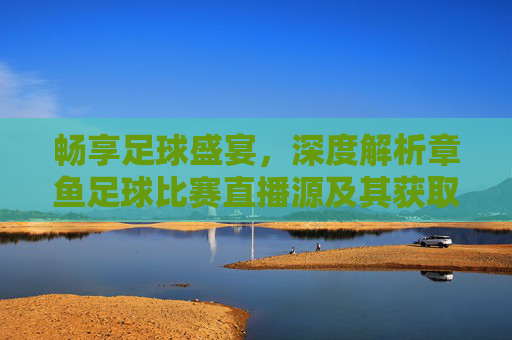 畅享足球盛宴，深度解析章鱼足球比赛直播源及其获取方式