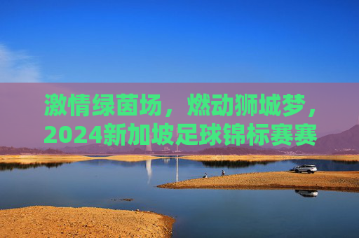 激情绿茵场，燃动狮城梦，2024新加坡足球锦标赛赛程全解析