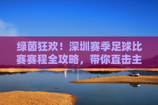 绿茵狂欢！深圳赛季足球比赛赛程全攻略，带你直击主场激情