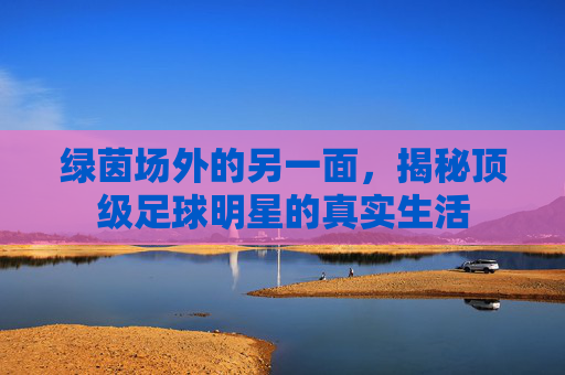 绿茵场外的另一面，揭秘顶级足球明星的真实生活