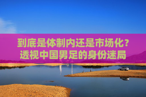 到底是体制内还是市场化？透视中国男足的身份迷局