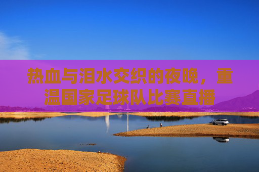 热血与泪水交织的夜晚，重温国家足球队比赛直播