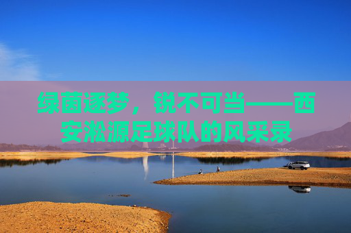 绿茵逐梦，锐不可当——西安淞源足球队的风采录