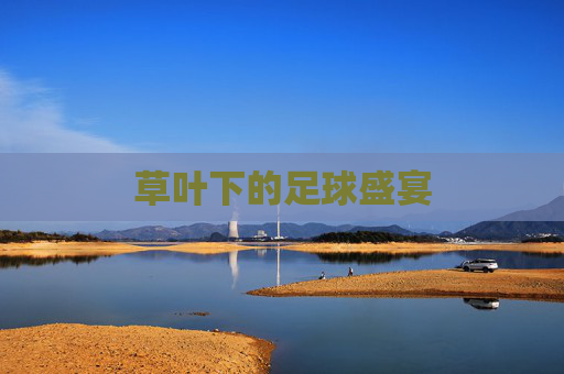 草叶下的足球盛宴