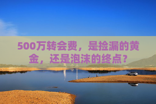 500万转会费，是捡漏的黄金，还是泡沫的终点？