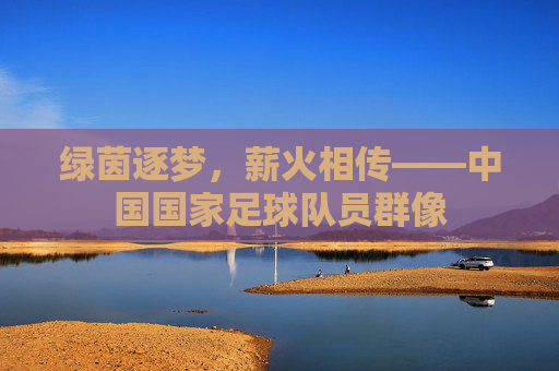 绿茵逐梦，薪火相传——中国国家足球队员群像