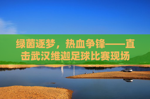 绿茵逐梦，热血争锋——直击武汉维迦足球比赛现场