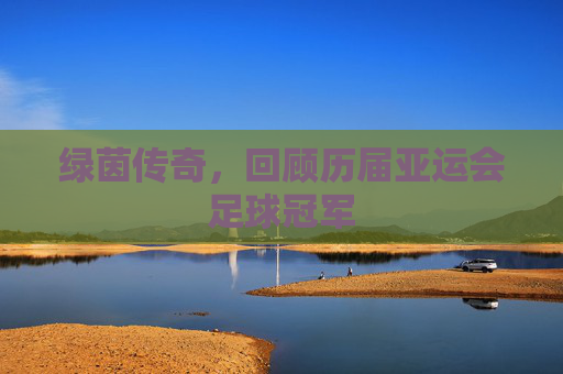 绿茵传奇，回顾历届亚运会足球冠军