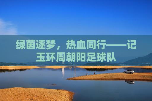 绿茵逐梦，热血同行——记玉环周朝阳足球队
