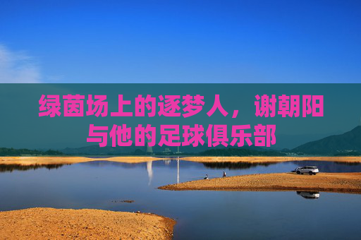 绿茵场上的逐梦人，谢朝阳与他的足球俱乐部