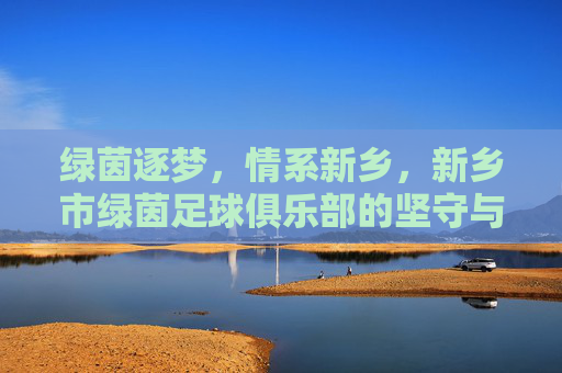 绿茵逐梦,情系新乡,新乡市绿茵足球俱乐部的坚守与热爱