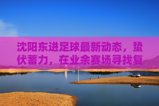 沈阳东进足球最新动态,蛰伏蓄力,在业余赛场寻找复兴之路