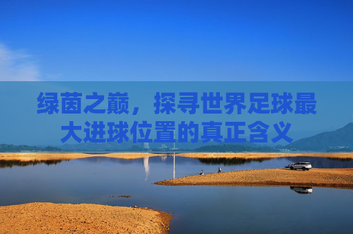 绿茵之巅，探寻世界足球最大进球位置的真正含义