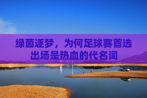 绿茵逐梦,为何足球赛首选出场是热血的代名词