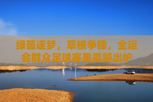 绿茵逐梦,草根争锋,全运会群众足球赛果震撼出炉