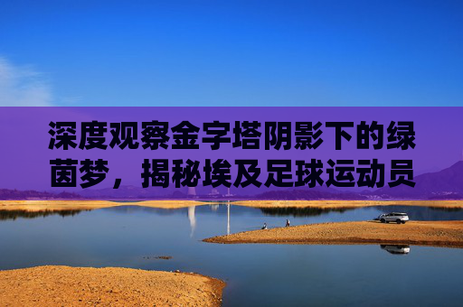 深度观察金字塔阴影下的绿茵梦,揭秘埃及足球运动员的薪资与待遇现状