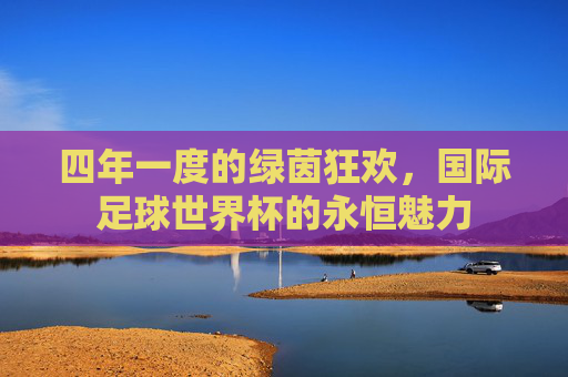 四年一度的绿茵狂欢,国际足球世界杯的永恒魅力