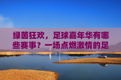 绿茵狂欢,足球嘉年华有哪些赛事?一场点燃激情的足球盛宴全解析