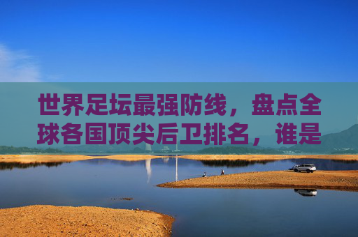 世界足坛最强防线,盘点全球各国顶尖后卫排名,谁是你心中的最强?