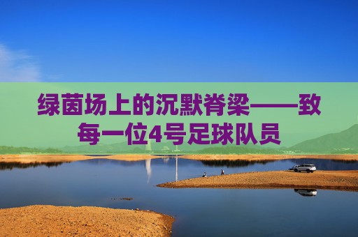 绿茵场上的沉默脊梁——致每一位4号足球队员