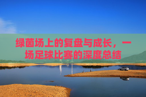 绿茵场上的复盘与成长,一场足球比赛的深度总结