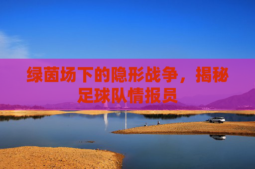绿茵场下的隐形战争，揭秘足球队情报员