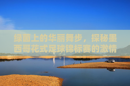 绿茵上的华丽舞步,探秘墨西哥花式足球锦标赛的激情与技巧
