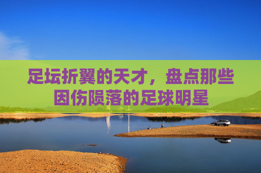 足坛折翼的天才,盘点那些因伤陨落的足球明星