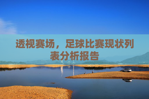 透视赛场,足球比赛现状列表分析报告