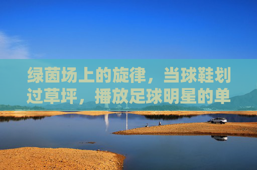 绿茵场上的旋律,当球鞋划过草坪,播放足球明星的单
