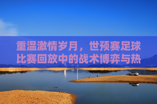 重温激情岁月,世预赛足球比赛回放中的战术博弈与热血瞬间